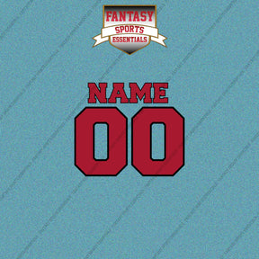 Atlanta Falcons Personalized Current Name and Number Car Decals