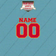 Atlanta Hawks Personalized Current Name and Number Car Decals