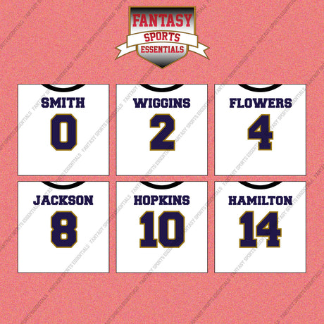 Baltimore Ravens 2025 Away Jersey Wall Art Prints (Choose Your Player) Page 1