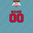 Boston Red Sox Personalized Current Name and Number Car Decals