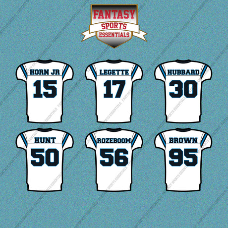 Carolina Panthers 2025 Away Jersey Car Decals (Choose Your Player) Page 2