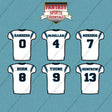 Carolina Panthers 2025 Away Jersey Car Decals (Choose Your Player) Page 1