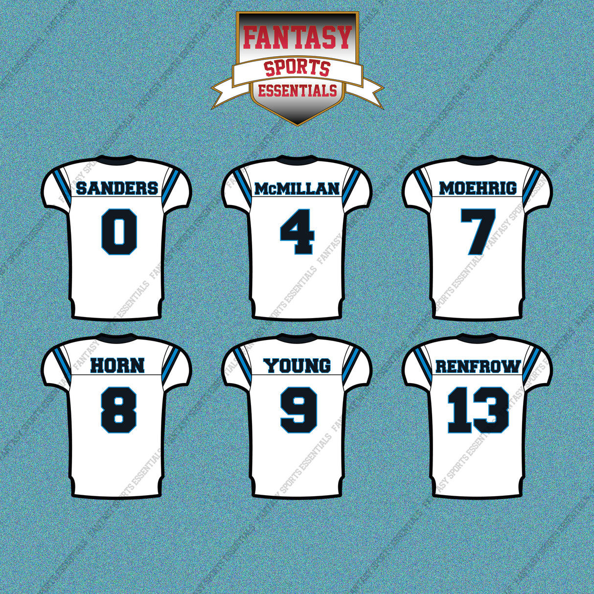 Carolina Panthers 2025 Away Jersey Car Decals (Choose Your Player) Page 1