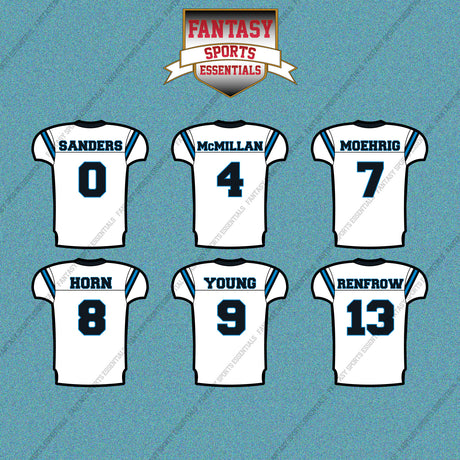 Carolina Panthers 2025 Away Jersey Car Decals (Choose Your Player) Page 1