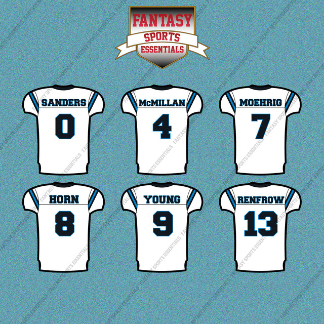 Carolina Panthers 2025 Away Jersey Car Decals (Choose Your Player) Page 1