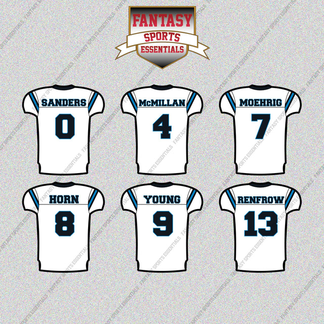 Carolina Panthers 2025 Away Jersey Glossy Stickers (Choose Your Player) Page 1