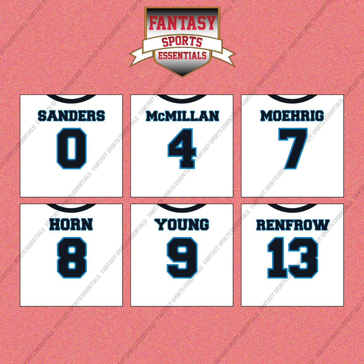 Carolina Panthers 2025 Away Jersey Wall Art Prints (Choose Your Player) Page 1