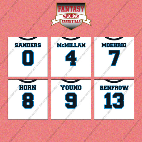 Carolina Panthers 2025 Away Jersey Wall Art Prints (Choose Your Player) Page 1