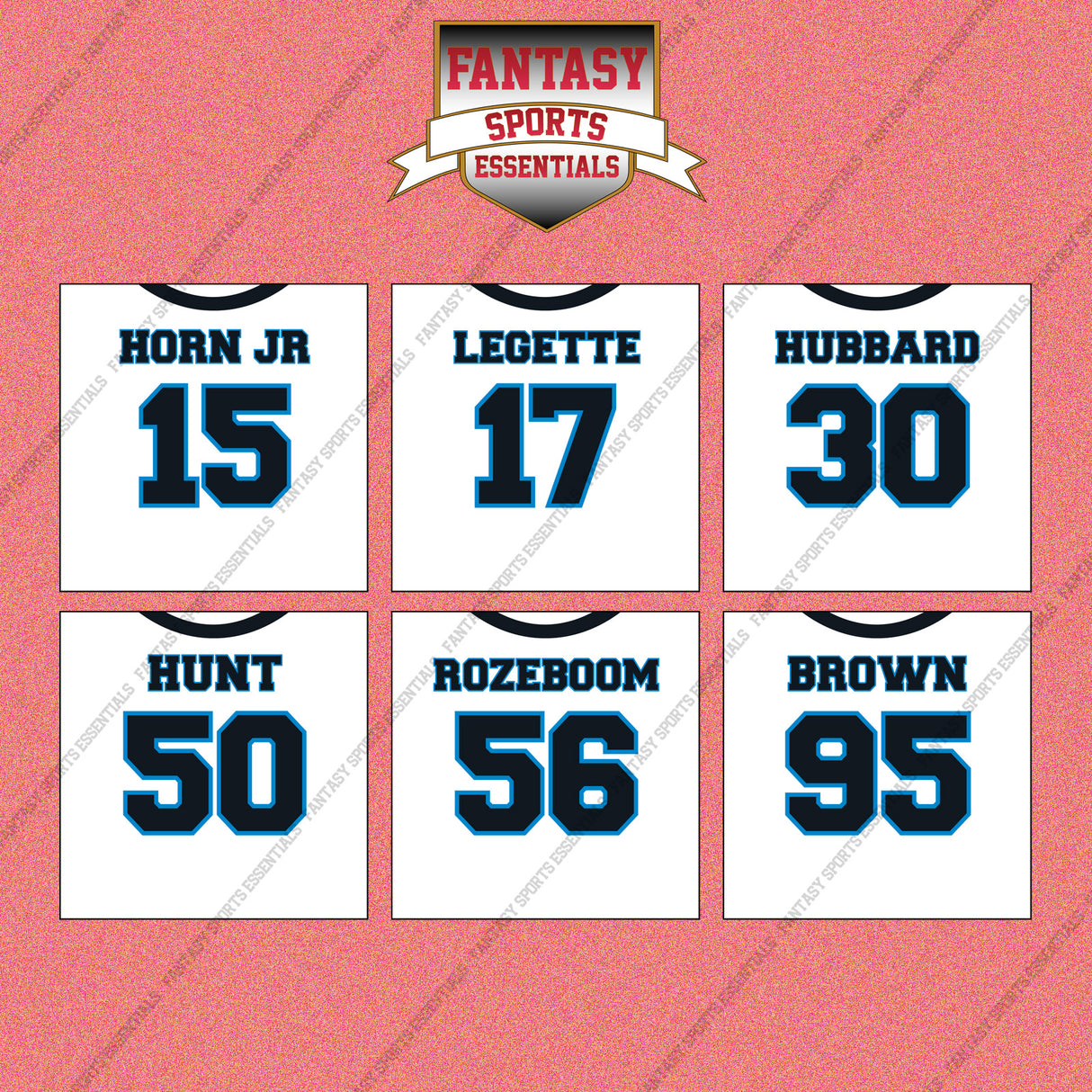 Carolina Panthers 2025 Away Jersey Wall Art Prints (Choose Your Player) Page 2