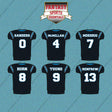 Carolina Panthers 2025 Home Jersey Car Decals (Choose Your Player) Page 1