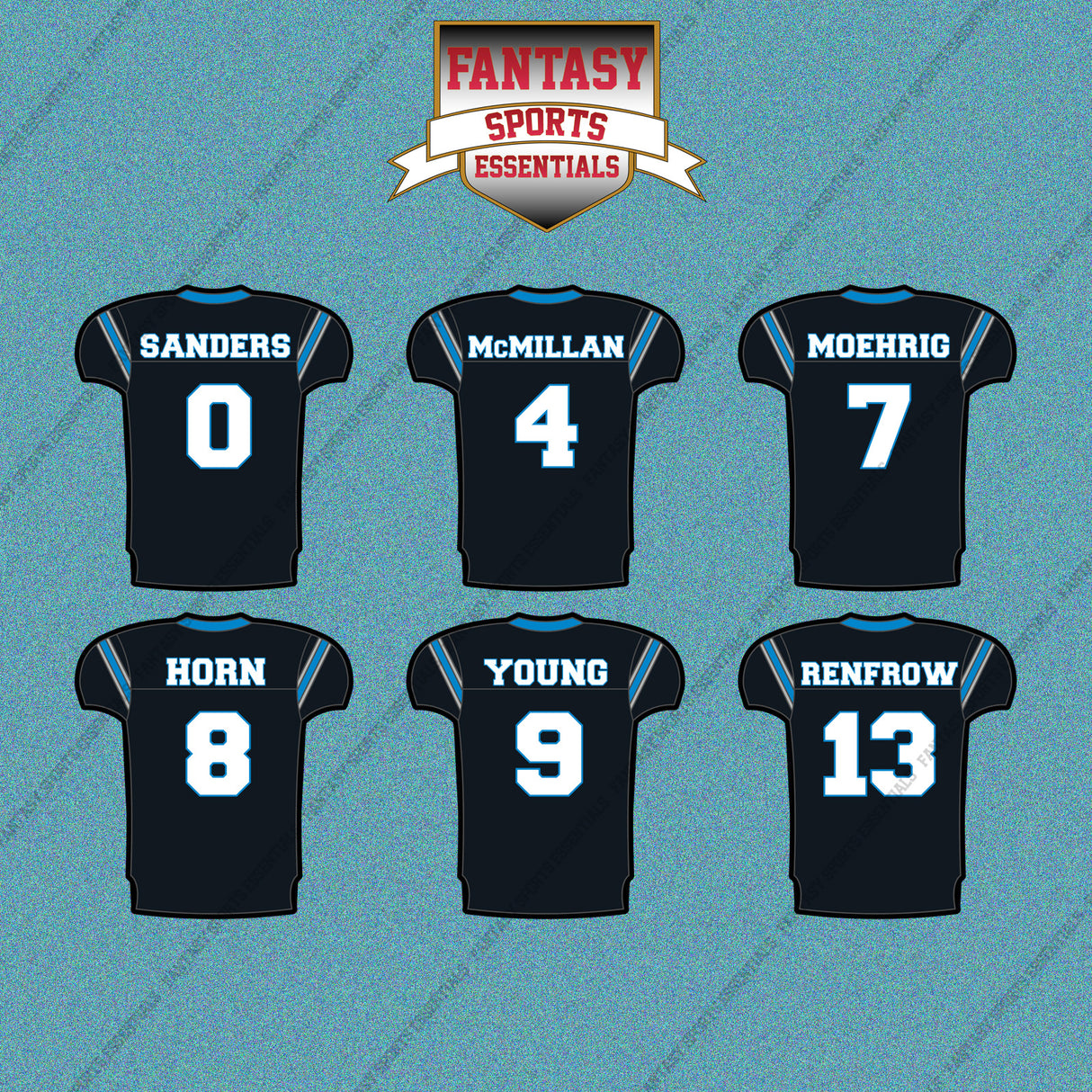 Carolina Panthers 2025 Home Jersey Car Decals (Choose Your Player) Page 1