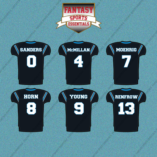 Carolina Panthers 2025 Home Jersey Car Decals (Choose Your Player) Page 1