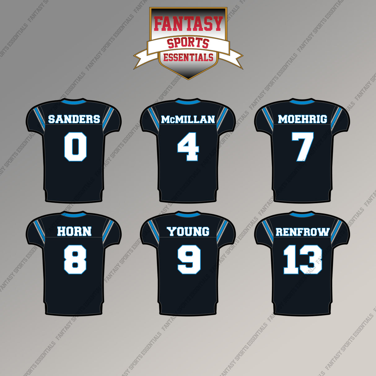 Carolina Panthers 2025 Home Jersey Magnets (Choose Your Player) Page 1