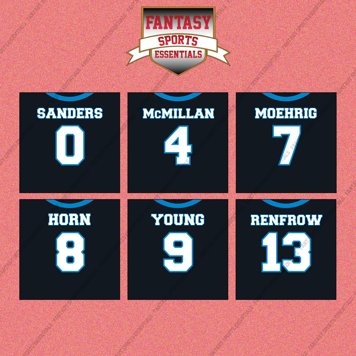 Carolina Panthers 2025 Home Jersey Wall Art Prints (Choose Your Player) Page 1
