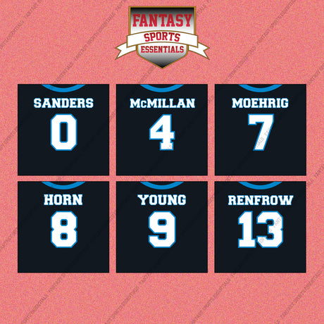 Carolina Panthers 2025 Home Jersey Wall Art Prints (Choose Your Player) Page 1