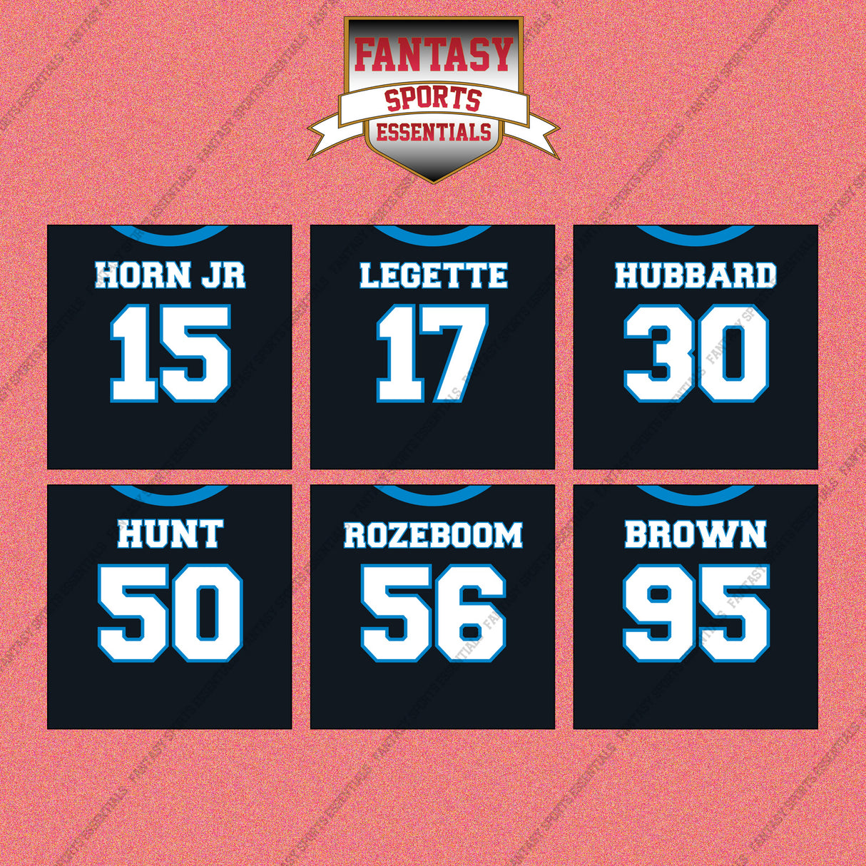 Carolina Panthers 2025 Home Jersey Wall Art Prints (Choose Your Player) Page 2