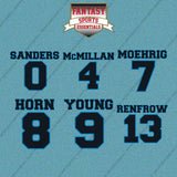 Carolina Panthers 2025 Name and Number Car Decals (Choose Your Player) Page 1