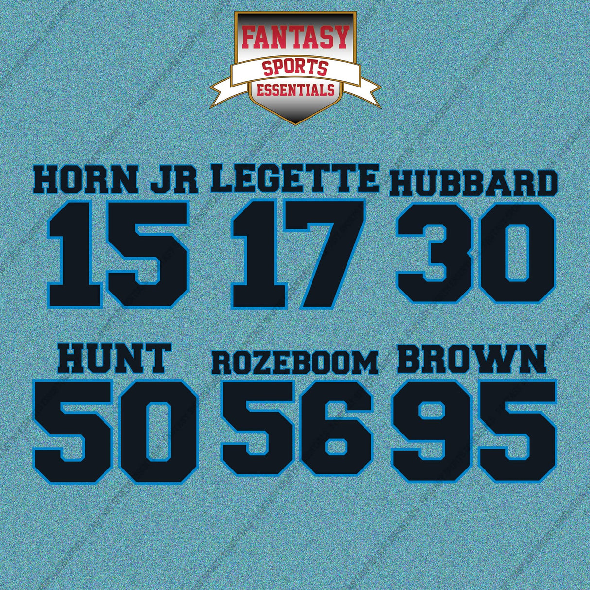 Carolina Panthers 2025 Name and Number Car Decals (Choose Your Player) Page 2