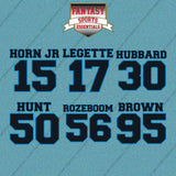 Carolina Panthers 2025 Name and Number Car Decals (Choose Your Player) Page 2