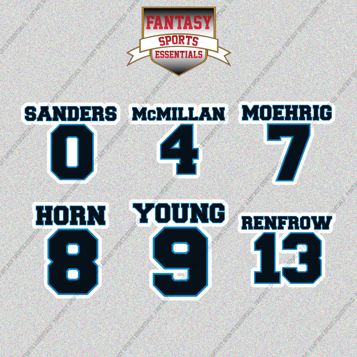 Carolina Panthers 2025 Name and Number Glossy Stickers (Choose Your Player) Page 1