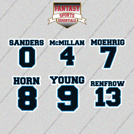 Carolina Panthers 2025 Name and Number Glossy Stickers (Choose Your Player) Page 1