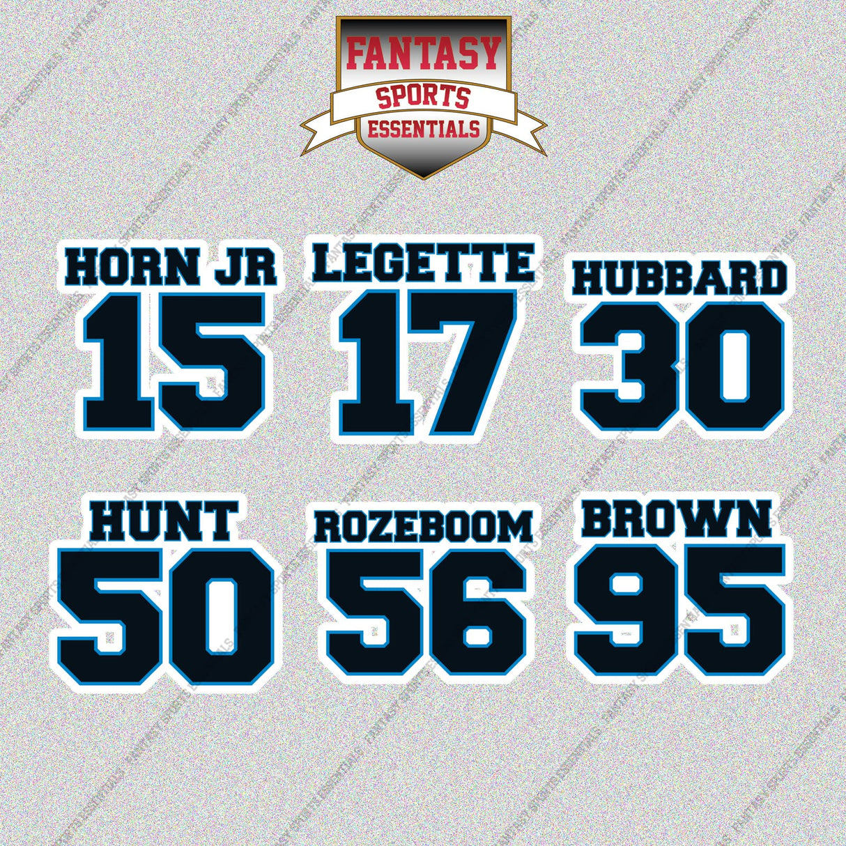 Carolina Panthers 2025 Name and Number Glossy Stickers (Choose Your Player) Page 2