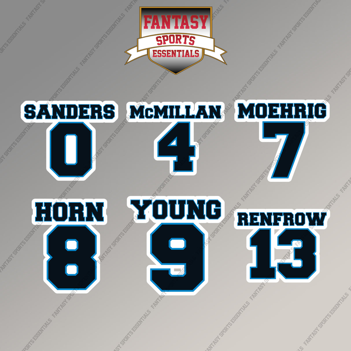 Carolina Panthers 2025 Name and Number Magnets (Choose Your Player) Page 1
