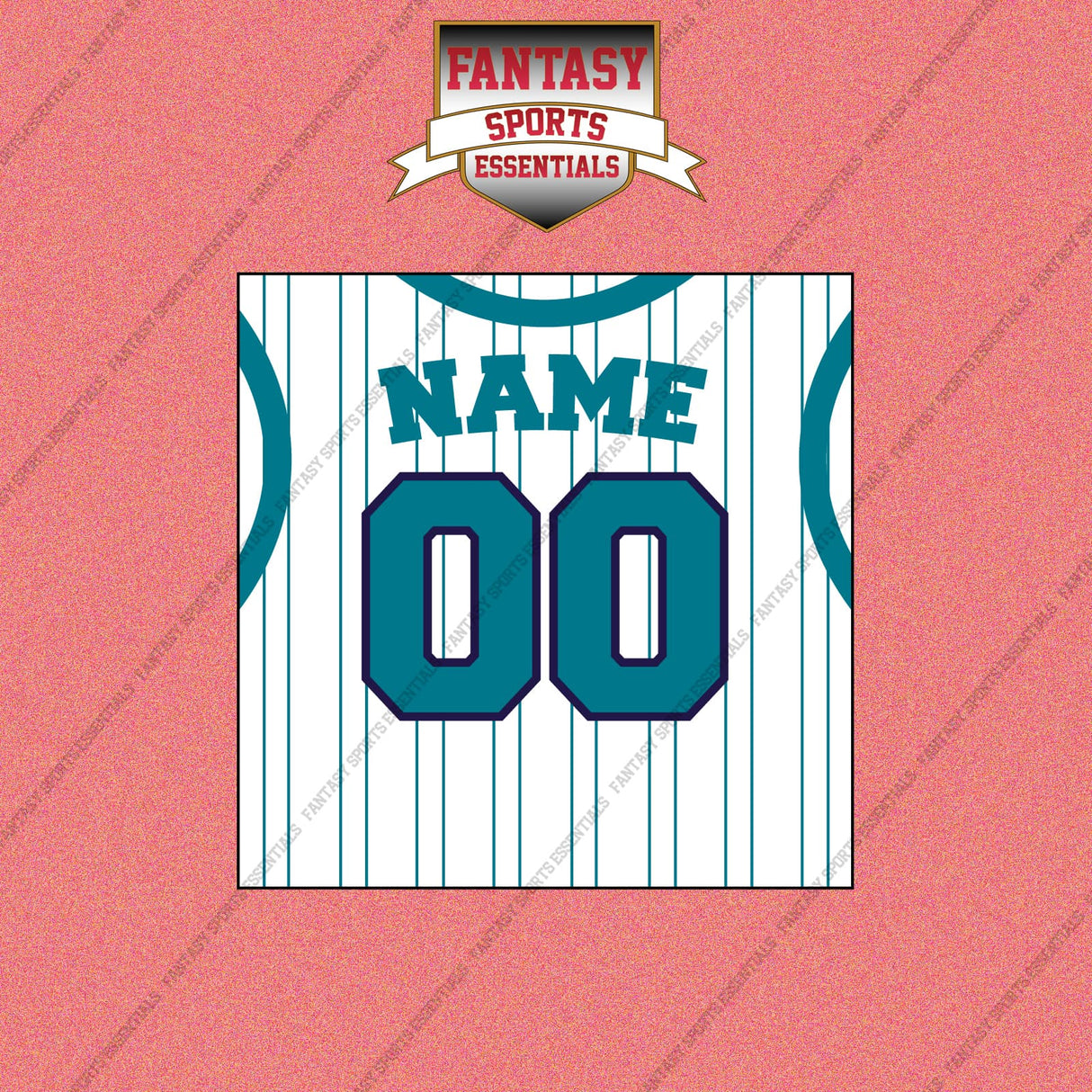 Charlotte Hornets Personalized Current Away Jersey Wall Art Prints