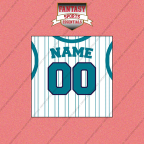 Charlotte Hornets Personalized Current Away Jersey Wall Art Prints