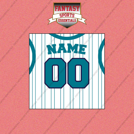 Charlotte Hornets Personalized Current Away Jersey Wall Art Prints