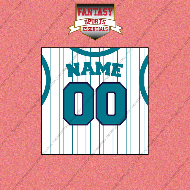 Charlotte Hornets Personalized Current Away Jersey Wall Art Prints