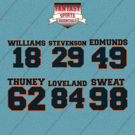 Chicago Bears 2025 Name and Number Car Decals (Choose Your Player) Page 2