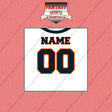 Chicago Bears Personalized Current Away Jersey Wall Art Prints