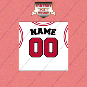 Chicago Bulls Personalized Current Away Jersey Wall Art Prints