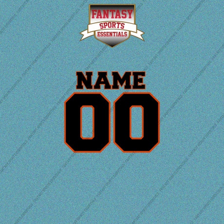 Cincinnati Bengals Personalized Current Name and Number Car Decals