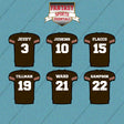 Cleveland Browns 2025 Home Jersey Car Decals (Choose Your Player) Page 1