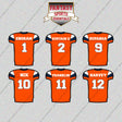 Denver Broncos 2025 Home Jersey Glossy Stickers (Choose Your Player) Page 1