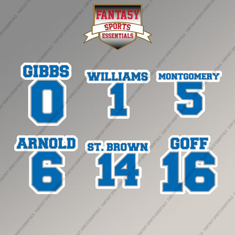 Detroit Lions 2025 Name and Number Magnets (Choose Your Player) Page 1