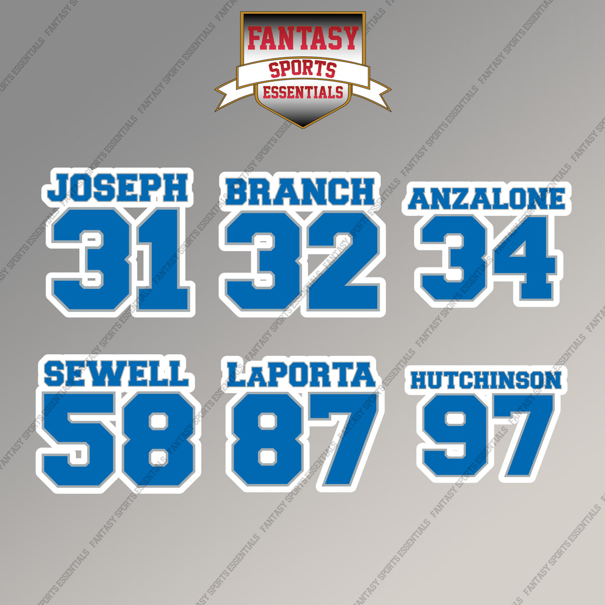 Detroit Lions 2025 Name and Number Magnets (Choose Your Player) Page 2
