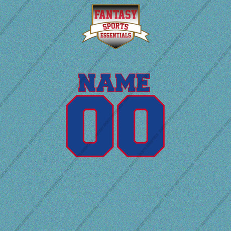 Detroit Pistons Personalized Current Name and Number Car Decals
