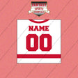 Detroit Red Wings Personalized Current Away Jersey Wall Art Prints
