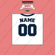 Detroit Tigers Personalized Current Home Jersey Wall Art Prints