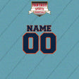 Detroit Tigers Personalized Current Name and Number Car Decals