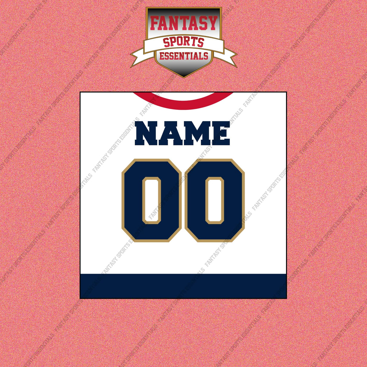 Florida Panthers Personalized Current Away Jersey Wall Art Prints
