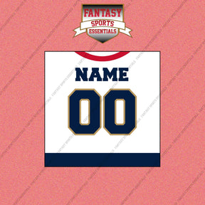 Florida Panthers Personalized Current Away Jersey Wall Art Prints
