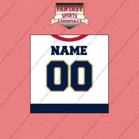 Florida Panthers Personalized Current Away Jersey Wall Art Prints