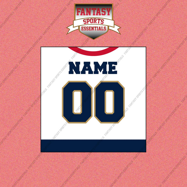 Florida Panthers Personalized Current Away Jersey Wall Art Prints
