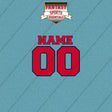 Florida Panthers Personalized Current Name and Number Car Decals