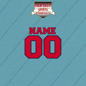 Florida Panthers Personalized Current Name and Number Car Decals