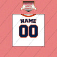 Houston Astros Personalized Current Home Jersey Wall Art Prints